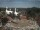 Webcam in Bad Waldsee, 11 km