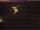 Webcam in Bad Waldsee, 12.6 mi away