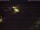 Webcam in Bad Waldsee, 8.4 mi away