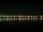 Webcam in Bordeaux, 0 km