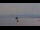 Webcam in Nice, 0.6 mi away