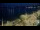 Webcam in Le Lavandou, 0 km