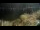 Webcam in Le Lavandou, 0 km entfernt