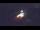 Webcam in Bidart, 6.9 km