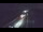Webcam in Bidart, 6.1 km