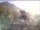 Webcam in Cordon, 15.3 km entfernt