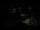 Webcam in Névache, 3.5 mi away