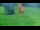 Webcam in Gap, 15 km entfernt