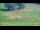 Webcam in Gap, 5.8 km entfernt