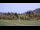 Webcam in Montferrier, 0 mi away