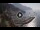 Webcam in Amalfi, 6.6 mi away
