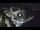 Webcam in Amalfi, 9.5 km entfernt