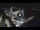Webcam in Amalfi, 0.5 km