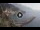 Webcam in Amalfi, 0.1 km