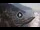 Webcam in Amalfi, 3.7 mi away