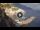 Webcam in Amalfi, 18.5 km