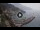 Webcam in Amalfi, 14.6 km