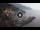 Webcam in Amalfi, 3.7 mi away