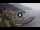 Webcam in Amalfi, 3.7 mi away