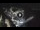 Webcam in Amalfi, 0.3 km entfernt