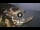Webcam in Amalfi, 0.8 km entfernt