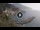 Webcam in Amalfi, 3.7 mi away