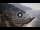 Webcam in Amalfi, 6.7 mi away