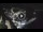 Webcam in Amalfi, 3.7 mi away