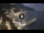 Webcam in Amalfi, 14.6 km