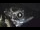 Webcam in Amalfi, 0.3 km entfernt