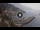 Webcam in Amalfi, 7.8 mi away