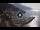 Webcam in Amalfi, 0.8 km