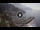 Webcam in Amalfi, 17.1 km