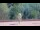 Webcam in Brassempouy, 0 mi away