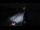 Webcam in Meylan, 5.4 mi away