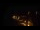 Webcam in Pouldreuzic, 11.8 km