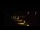 Webcam in Pouldreuzic, 5.3 mi away