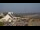 Webcam in Pouldreuzic, 12.7 mi away