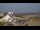 Webcam in Pouldreuzic, 7.8 km