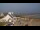 Webcam in Pouldreuzic, 0 mi away