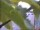 Webcam in Aix-en-Provence, 14.4 mi away