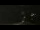 Webcam in Andernos-les-Bains, 0 km entfernt