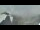 Webcam on mount Pic du Midi, 0 mi away