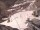 Webcam in Bonneval-sur-Arc, 2.2 mi away