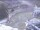 Webcam in Bonneval-sur-Arc, 0 mi away