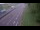 Webcam in Chalon-sur-Saône, 21 mi away