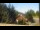 Webcam in Crévoux, 1.4 mi away
