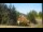 Webcam in Crévoux, 2.7 mi away