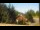 Webcam in Crévoux, 18.9 km entfernt