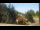 Webcam in Crévoux, 7.4 km